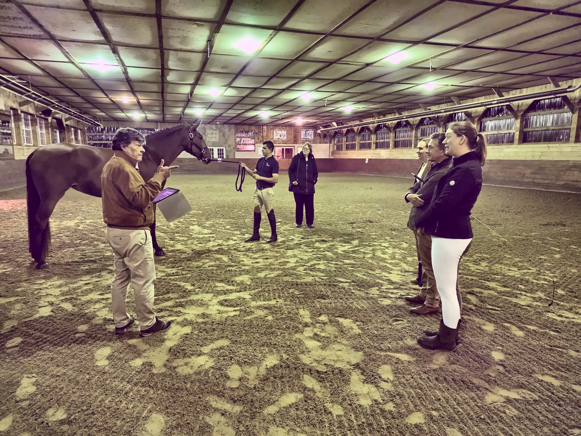 APSL judge João Ralão Duarte speaking with handlers beside a horse at Sons of the Wind in Boston
